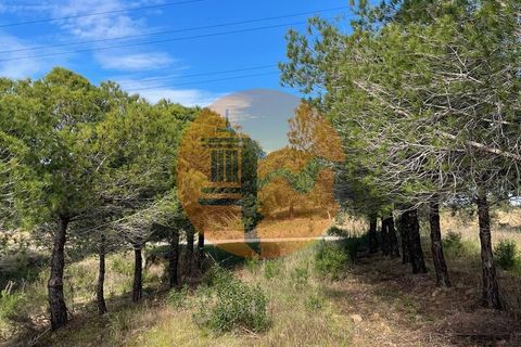 Helårsgrund i Castro Marim, Faro, Castro Marim - € 24.900 | Ref: SU-CS-TR-91829 - foto 4