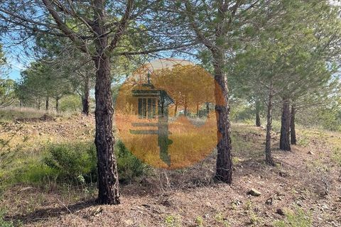 Helårsgrund i Castro Marim, Faro, Castro Marim - € 24.900 | Ref: SU-CS-TR-91829 - foto 13