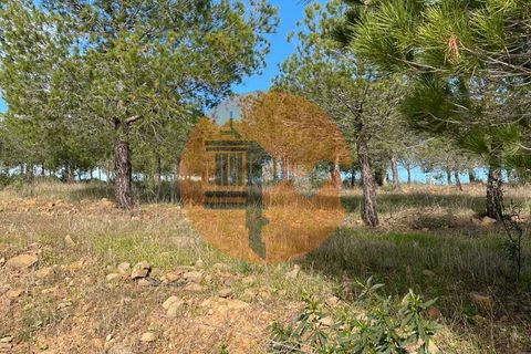 Helårsgrund i Castro Marim, Faro, Castro Marim - € 24.900 | Ref: SU-CS-TR-91829 - foto 21