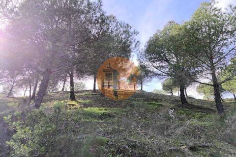 Helårsgrund i Castro Marim, Faro, Castro Marim - € 79.900 | Ref: SU-CS-TER-91837 - foto 7