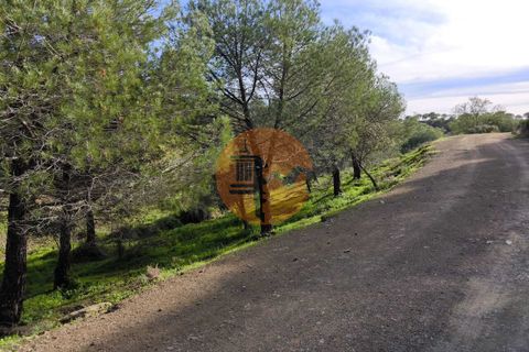 Helårsgrund i Castro Marim, Faro, Castro Marim - € 79.900 | Ref: SU-CS-TER-91837 - foto 9