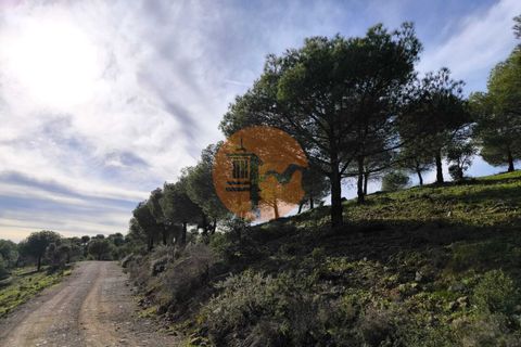 Helårsgrund i Castro Marim, Faro, Castro Marim - € 79.900 | Ref: SU-CS-TER-91837 - foto 11