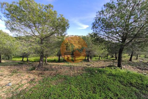 Helårsgrund i Castro Marim, Faro, Castro Marim - € 79.900 | Ref: SU-CS-TER-91837 - foto 17