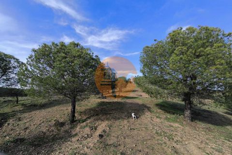 Helårsgrund i Castro Marim, Faro, Castro Marim - € 79.900 | Ref: SU-CS-TER-91837 - foto 18