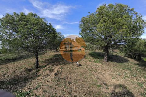 Helårsgrund i Castro Marim, Faro, Castro Marim - € 79.900 | Ref: SU-CS-TER-91837 - foto 19