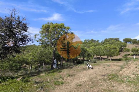 Helårsgrund i Castro Marim, Faro, Castro Marim - € 79.900 | Ref: SU-CS-TER-91837 - foto 21