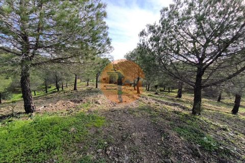 Helårsgrund i Castro Marim, Faro, Castro Marim - € 79.900 | Ref: SU-CS-TER-91837 - foto 25