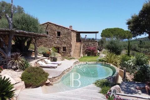 Landejendom i Porto-Vecchio, Corse-du-Sud, Porto-Vecchio - € 2.290.000 | Ref: RV2137 - foto 24
