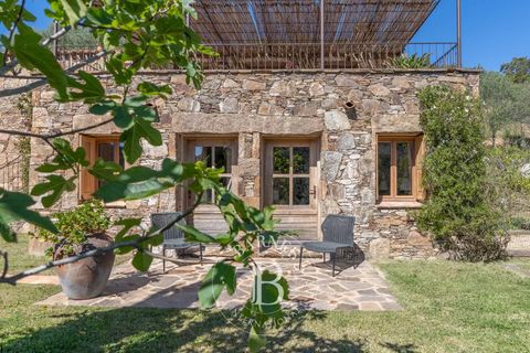 Masia a Porto-Vecchio, Corse-du-Sud - foto 4