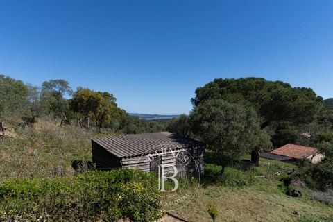 Landejendom i Porto-Vecchio, Corse-du-Sud, Porto-Vecchio - € 2.290.000 | Ref: RV2137 - foto 21