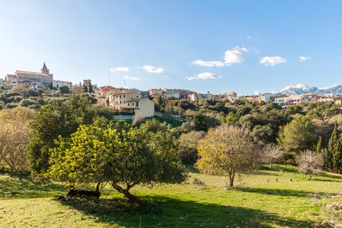Villa a Campanet, Mallorca, Campanet - € 625.000 | Ref: CAM40984ETV - foto 17