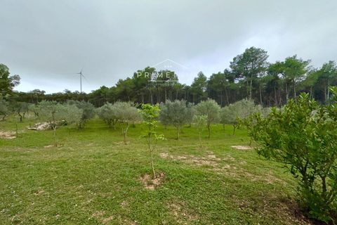 Villa i El Perello, Tarragona, El Perello - € 245.000 | Ref: 1165 - foto 15