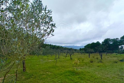 Villa i El Perello, Tarragona, El Perello - € 245.000 | Ref: 1165 - foto 16