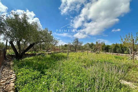 Villa i Tortosa, Tarragona, Tortosa - € 215.000 | Ref: 1164 - foto 13