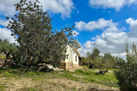 Villa i Tortosa, Tarragona, Tortosa - € 215.000 | Ref: 1164 - foto 14