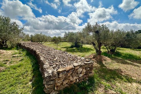 Villa i Tortosa, Tarragona, Tortosa - € 215.000 | Ref: 1164 - foto 16
