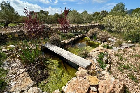 Villa i Tortosa, Tarragona, Tortosa - € 215.000 | Ref: 1164 - foto 44