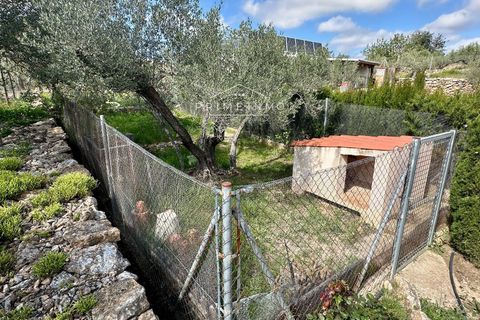 Villa i Tortosa, Tarragona, Tortosa - € 215.000 | Ref: 1164 - foto 50