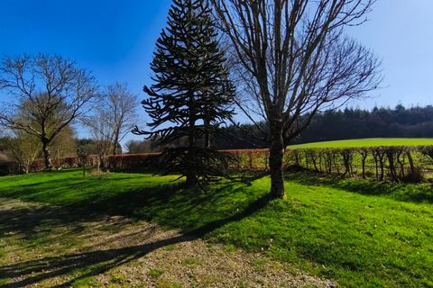 Villa a Silfiac, Morbihan, Silfiac - € 211.000 | Ref: TR-5044 - foto 15