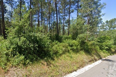 Terra a Leiria, Leiria, Leiria - € 85.000 | Ref: 846921 - foto 7