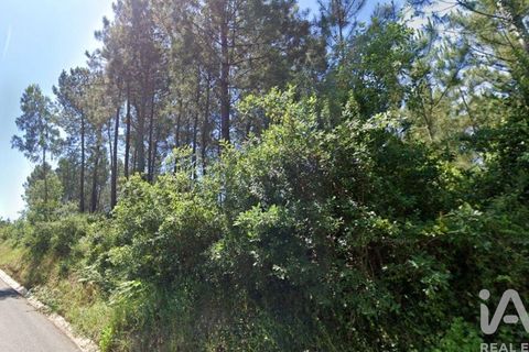 Terra a Leiria, Leiria, Leiria - € 85.000 | Ref: 846921 - foto 6