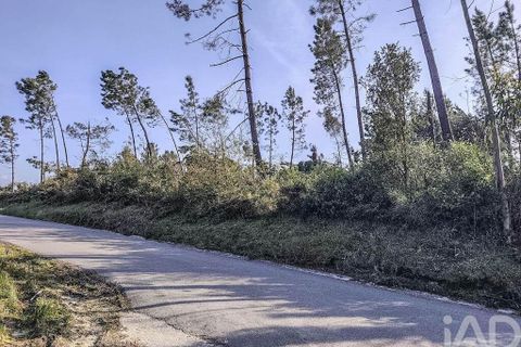Terra a Leiria, Leiria, Leiria - € 85.000 | Ref: 846921 - foto 4