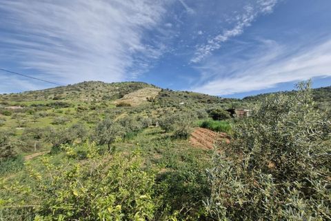 Cortijo i Coin, Malaga, Coin - € 460.000 | Ref: R5332909 - foto 22