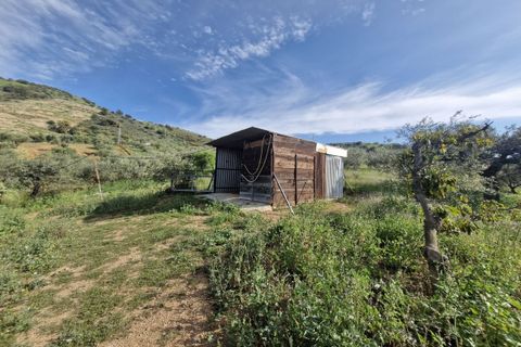 Cortijo i Coin, Malaga, Coin - € 460.000 | Ref: R5332909 - foto 23