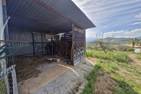 Cortijo i Coin, Malaga, Coin - € 460.000 | Ref: R5332909 - foto 24