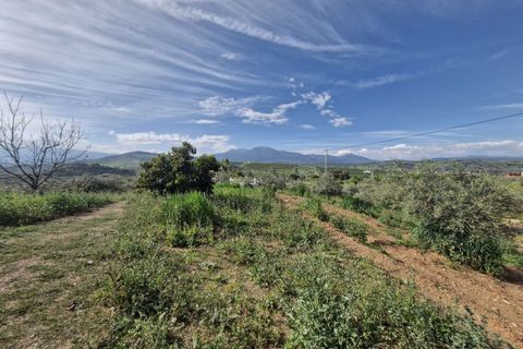 Cortijo i Coin, Malaga, Coin - € 460.000 | Ref: R5332909 - foto 26