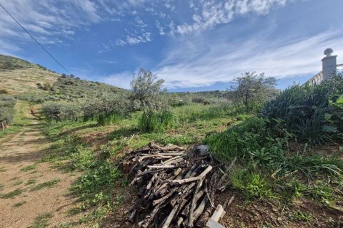 Cortijo i Coin, Malaga, Coin - € 460.000 | Ref: R5332909 - foto 28