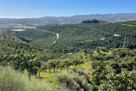 Landejendom i Velez Malaga, Malaga, Velez Malaga - € 689.000 | Ref: A4U2609 - foto 17
