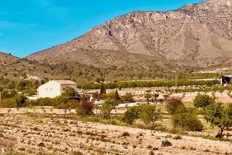 Villa i El Canton, Murcia, El Canton - € 449 000 | Ref: AMC-BB1924 - foto 5