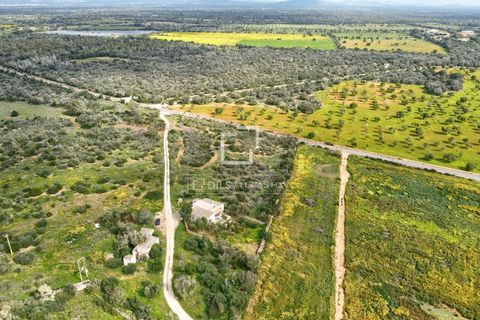 Landejendom i Llucmajor, Mallorca, Llucmajor - € 4.485.000 | Ref: MAL67765 - foto 2