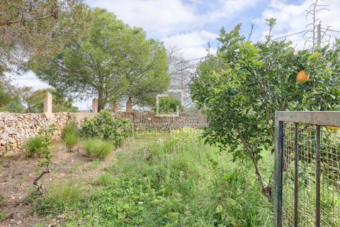 Landejendom i Llucmajor, Mallorca, Llucmajor - € 4.485.000 | Ref: MAL67765 - foto 20