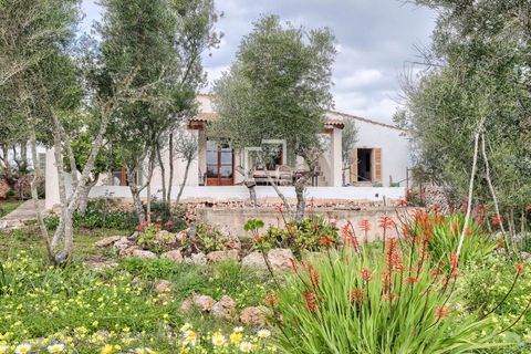Landejendom i Llucmajor, Mallorca, Llucmajor - € 4.485.000 | Ref: MAL67765 - foto 26