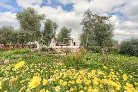 Landejendom i Llucmajor, Mallorca, Llucmajor - € 4.485.000 | Ref: MAL67765 - foto 31
