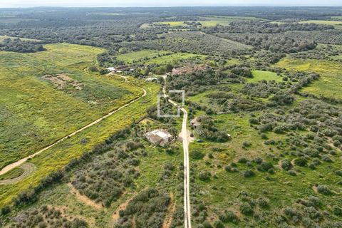Landejendom i Llucmajor, Mallorca, Llucmajor - € 4.485.000 | Ref: MAL67765 - foto 34