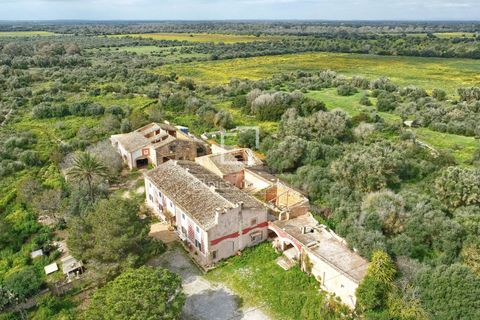 Landejendom i Llucmajor, Mallorca, Llucmajor - € 4.485.000 | Ref: MAL67765 - foto 35