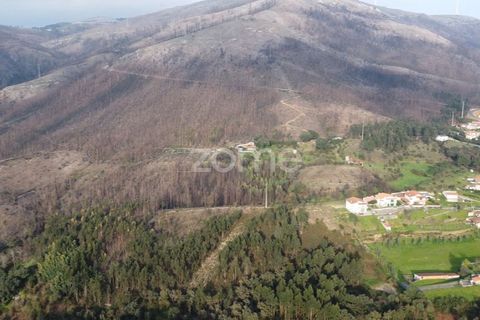 Helårsgrund i Penafiel, Porto, Penafiel - € 250.000 | Ref: ZMPT586597 - foto 2