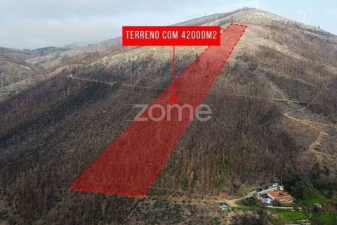 Helårsgrund i Penafiel, Porto, Penafiel - € 250.000 | Ref: ZMPT586597 - foto 7