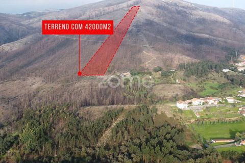 Helårsgrund i Penafiel, Porto, Penafiel - € 250.000 | Ref: ZMPT586597 - foto 9