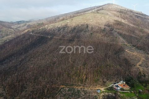 Helårsgrund i Penafiel, Porto, Penafiel - € 250.000 | Ref: ZMPT586597 - foto 6