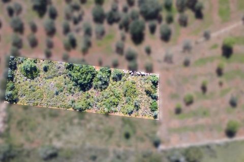 Helårsgrund i Silves, Faro, Silves - € 8.000 | Ref: ZMPT583960 - foto 2