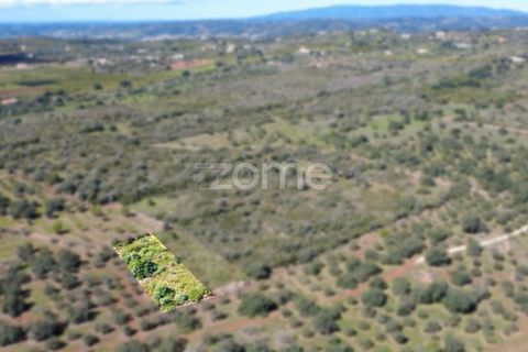 Helårsgrund i Silves, Faro, Silves - € 8.000 | Ref: ZMPT583960 - foto 3
