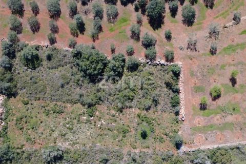 Helårsgrund i Silves, Faro, Silves - € 8.000 | Ref: ZMPT583960 - foto 4