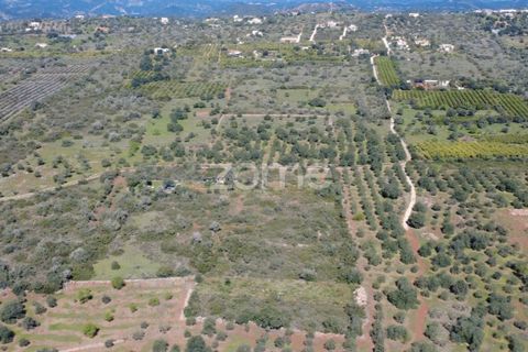 Helårsgrund i Silves, Faro, Silves - € 8.000 | Ref: ZMPT583960 - foto 11