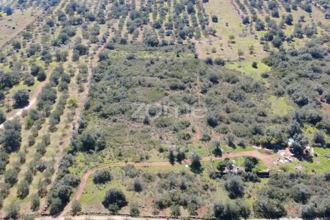 Helårsgrund i Silves, Faro, Silves - € 8.000 | Ref: ZMPT583960 - foto 12