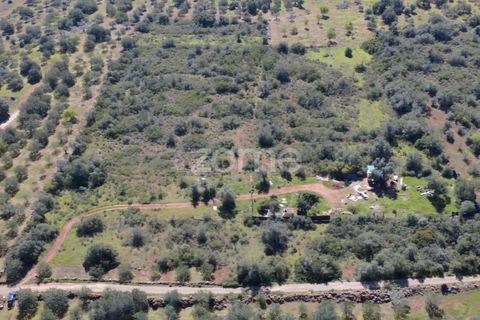 Helårsgrund i Silves, Faro, Silves - € 8.000 | Ref: ZMPT583960 - foto 14