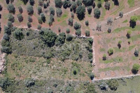 Helårsgrund i Silves, Faro, Silves - € 8.000 | Ref: ZMPT583960 - foto 13